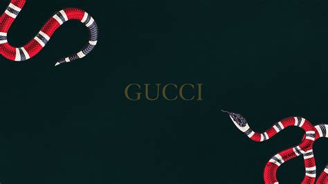 sfondi desktop hd gucci|gucci background images.